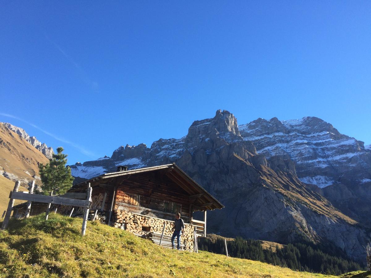 Ferienwohnung Bergdohle Adelboden Exterior foto
