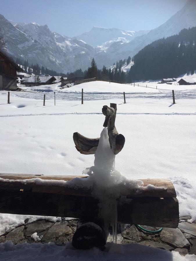 Ferienwohnung Bergdohle Adelboden Exterior foto