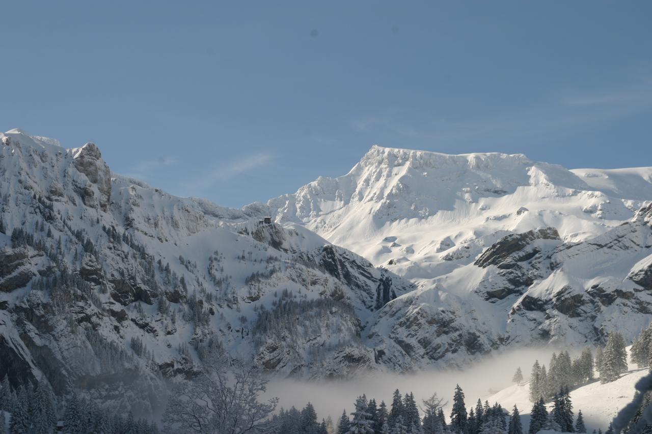 Ferienwohnung Bergdohle Adelboden Exterior foto