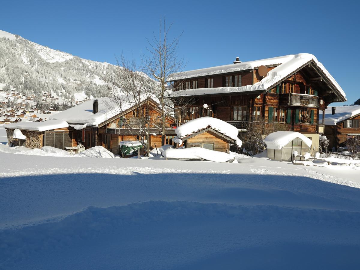 Ferienwohnung Bergdohle Adelboden Exterior foto